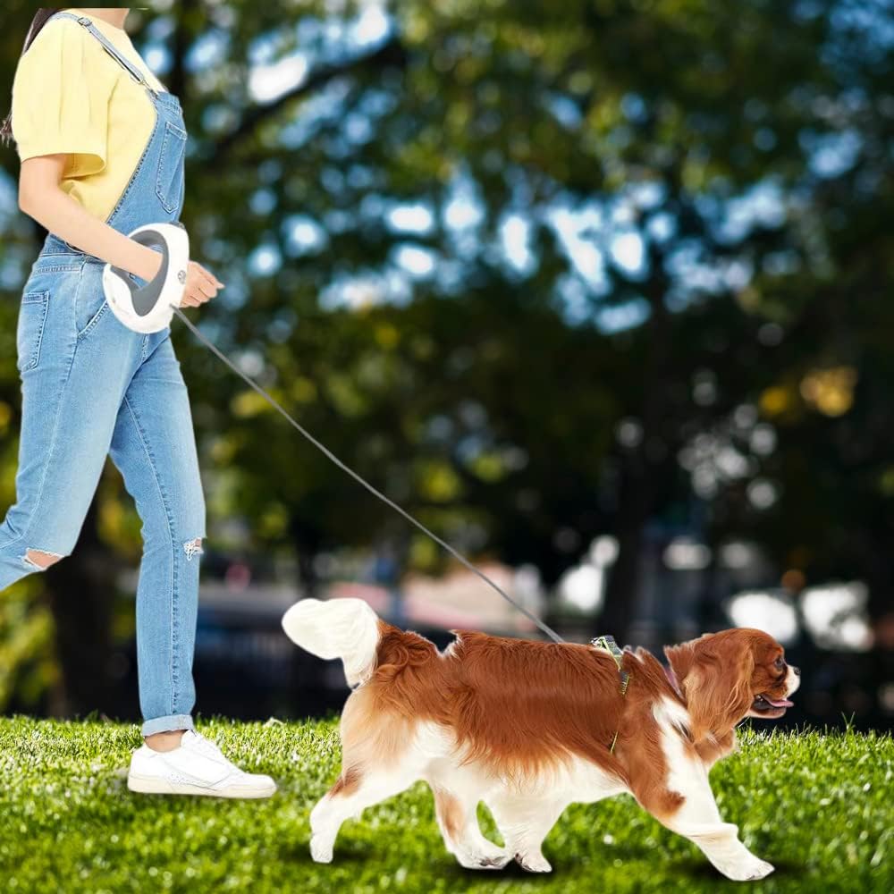 🔥The Last Day 65% OFF🔥 Pet Automatic Retractable Leash