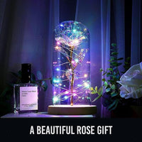 Thumbnail for 🌲Early Christmas Sale - SAVE OFF 61%🎁 Galaxy Rose