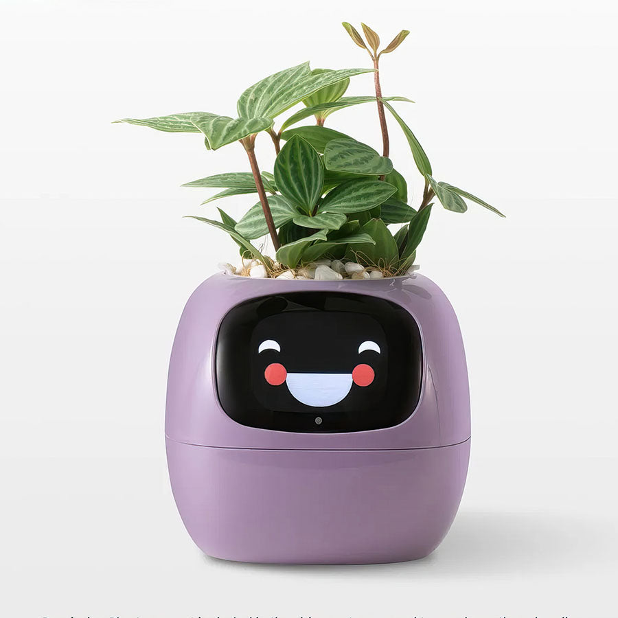 Smart Plant Care System