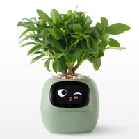 Thumbnail for Smart Plant Care System