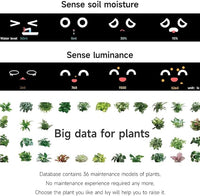 Thumbnail for Smart Plant Care System