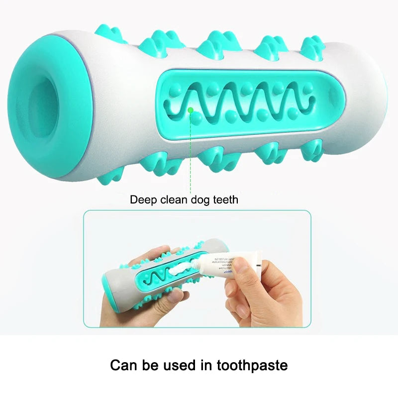 ChewWhiz - Dog Molar Toothbrush Toys