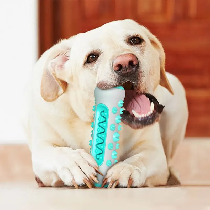 ChewWhiz - Dog Molar Toothbrush Toys