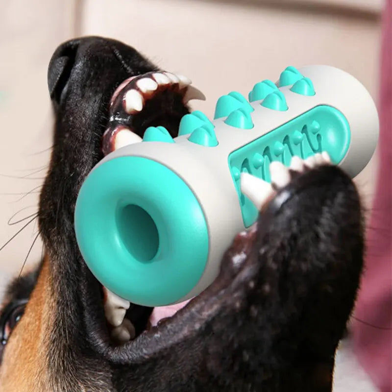 ChewWhiz - Dog Molar Toothbrush Toys