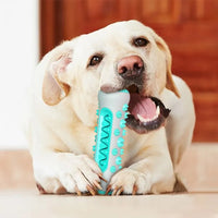 Thumbnail for ChewWhiz - Dog Molar Toothbrush Toys