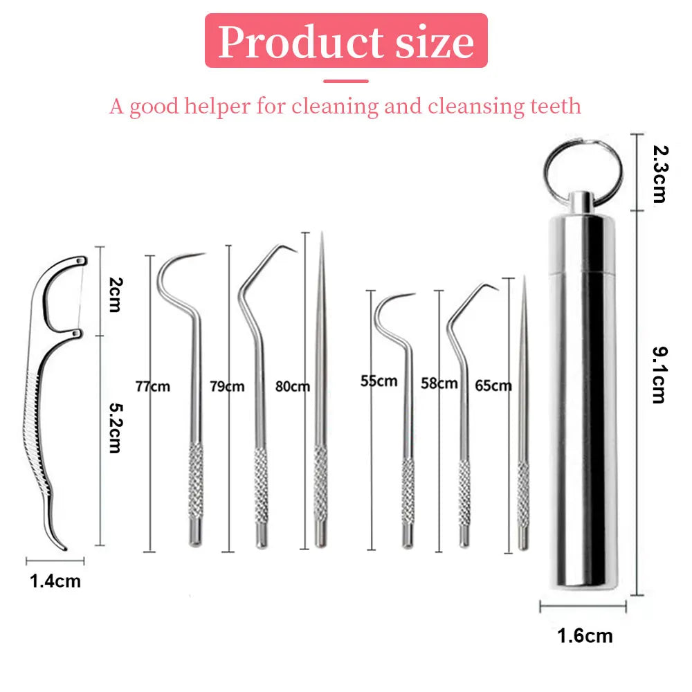 Portable Stainless Steel Toothpick Oral Cleaning Kit