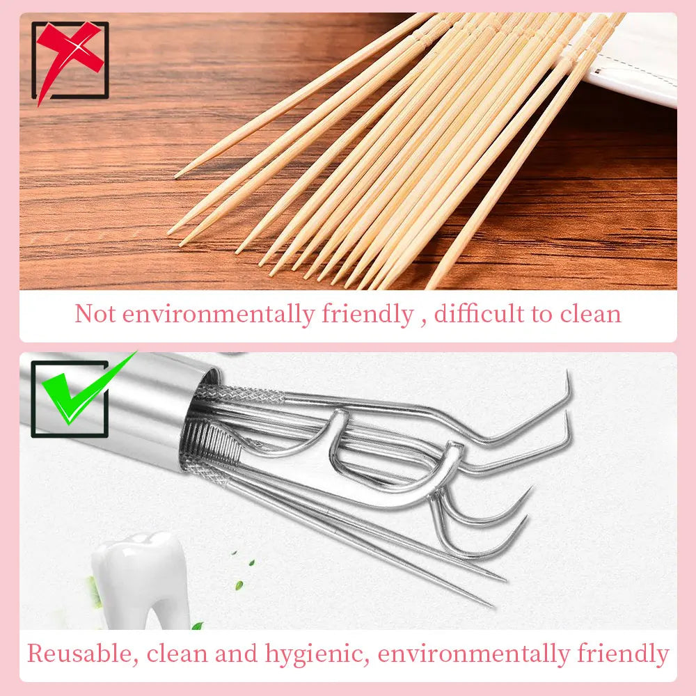 Portable Stainless Steel Toothpick Oral Cleaning Kit