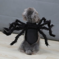 Thumbnail for Arachnopup™ Halloween Dog Spider Costume
