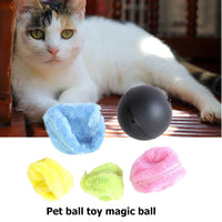 Thumbnail for Active Rolling Ball (4 Colors Included)