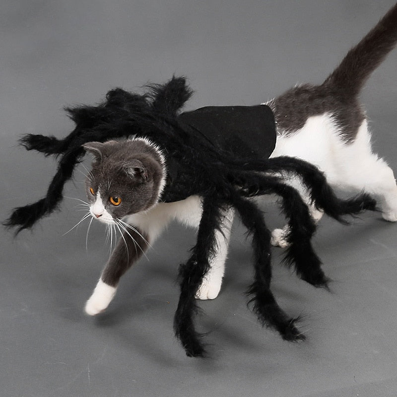 Arachnopup™ Halloween Dog Spider Costume