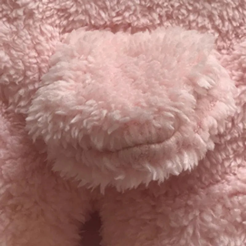 Baby Sleeping Bag Ultra-Soft Fluffy Fleece