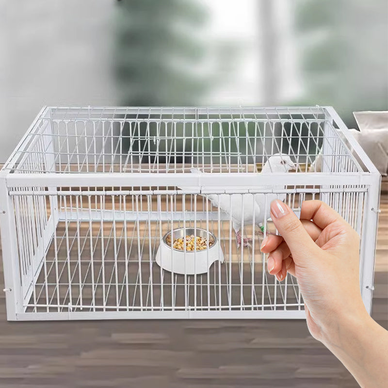 SafeCatch Bird Trap Cage