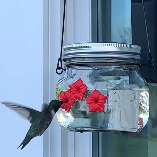 Beautiful Hummingbird Feeder