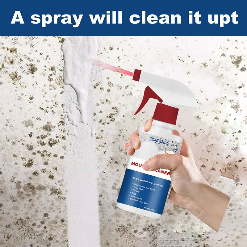 Mildew Removal Spray